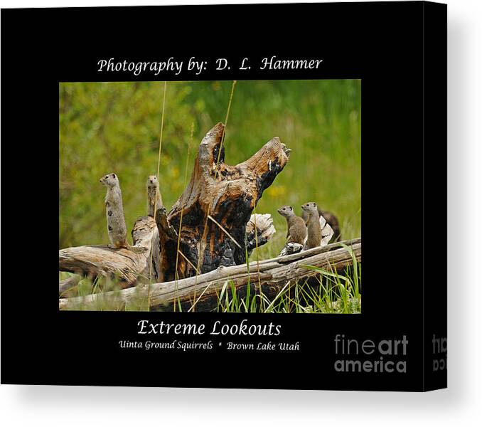 Wildlife Canvas Print featuring the photograph Extreme Lookouts #1 by Dennis Hammer