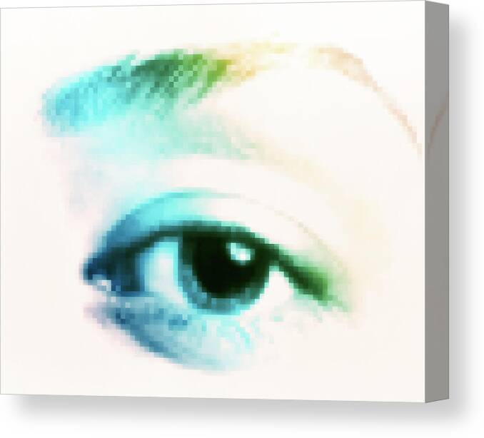 Eye Canvas Print featuring the photograph Eye #1 by Alfred Pasieka/science Photo Library