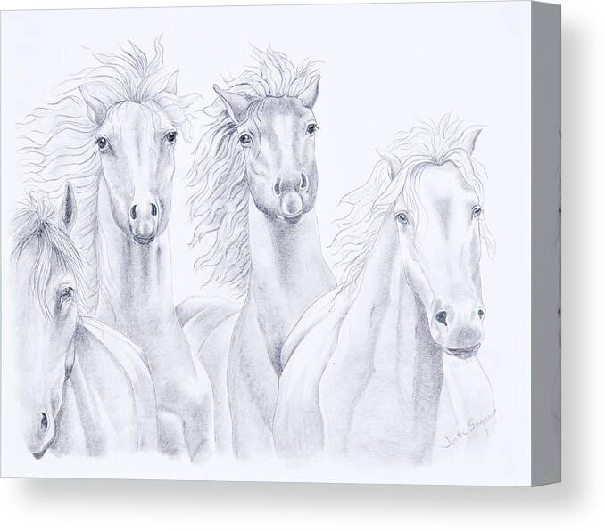 Horse Prints Canvas Print featuring the drawing Four For Freedom by Joette Snyder