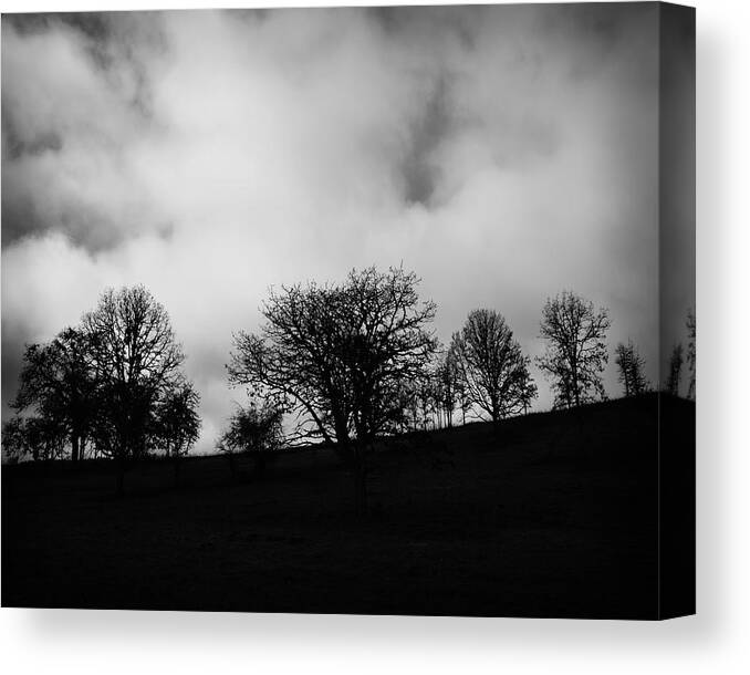Hilly Canvas Print featuring the photograph Hill Country #1 by Bonnie Bruno