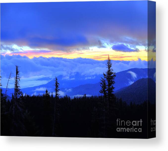 Hurricane Canvas Print featuring the photograph Hurricane Ridge #1 by Twenty Two North Photography