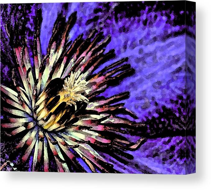 Classic Canvas Print featuring the photograph Jackmanii Clematis #1 by Robert Culver
