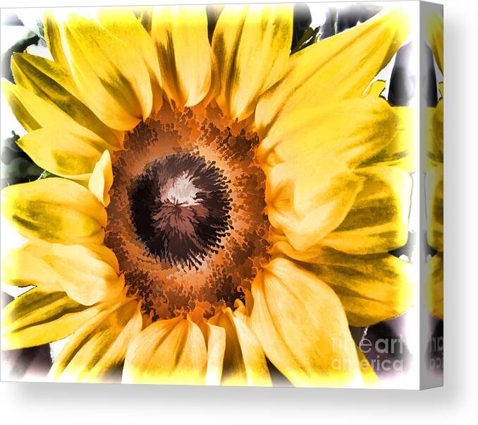 Sunflower Canvas Print featuring the photograph Sunflower by Mary Underwood