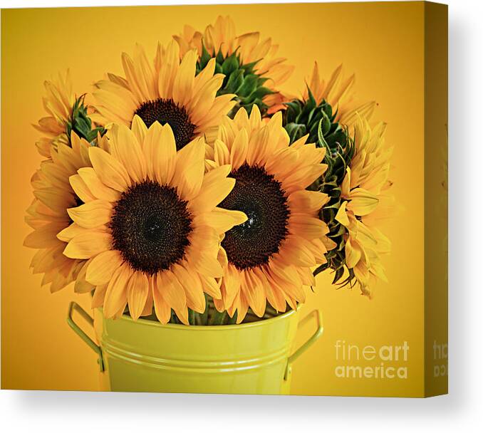 Vase Canvas Print featuring the photograph Sunflowers in vase 1 by Elena Elisseeva