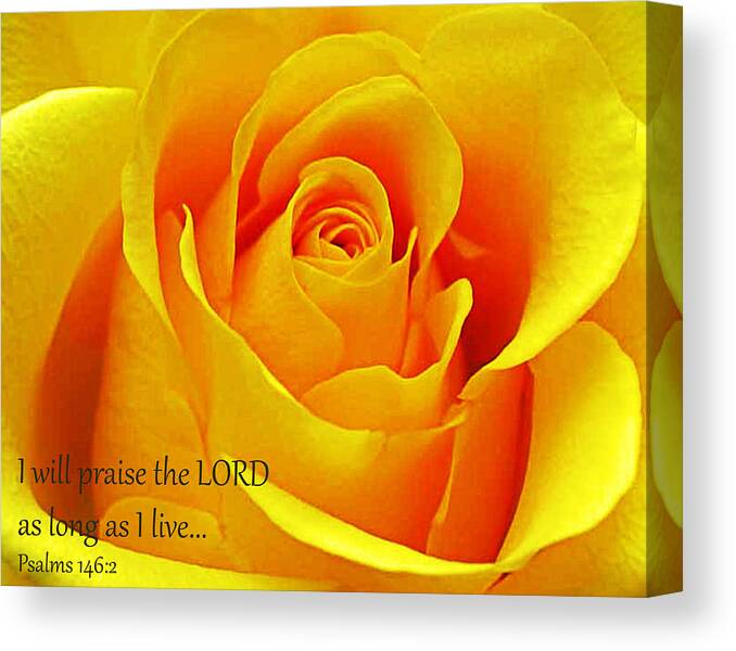 Rose Canvas Print featuring the photograph Yellow Rose #1 by Bill Barber
