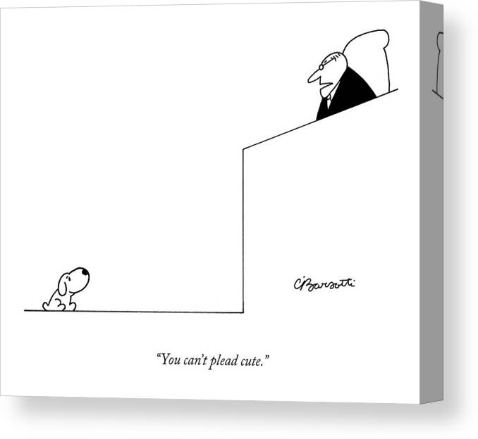 Dogs Canvas Print featuring the drawing You Can't Plead Cute by Charles Barsotti