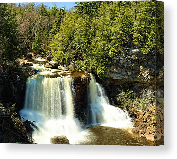 Black Canvas Print featuring the photograph Blackwater Falls #2 by Metro DC Photography