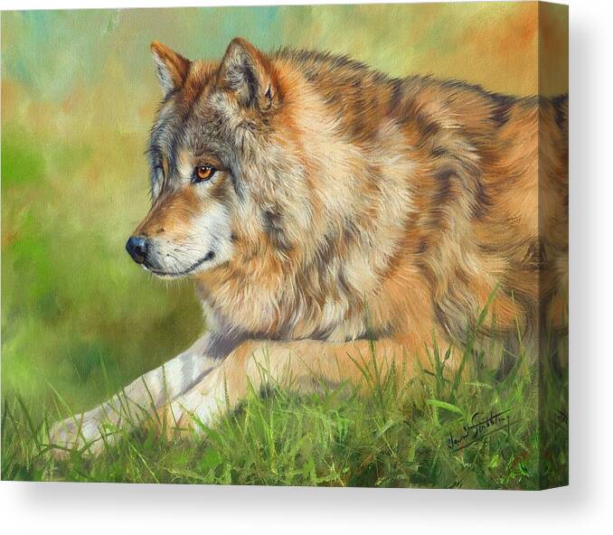 Wolf Canvas Print featuring the painting Grey Wolf #2 by David Stribbling
