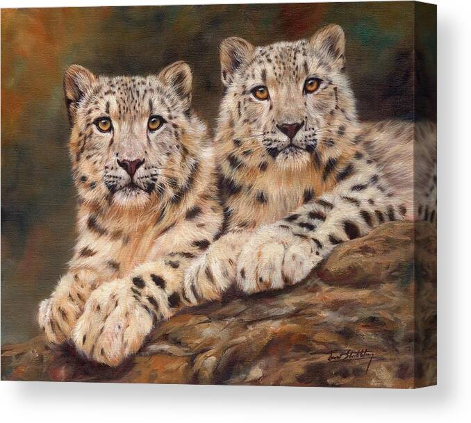 Snow Leopards Canvas Print featuring the painting Snow Leopards #3 by David Stribbling