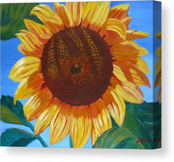 Sunflower Canvas Print featuring the painting Sunflower by Janet Zeh