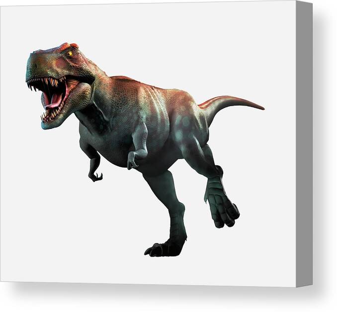 Tyrannosaurus T Rex Dinosaur Sharp Teeth Framed Canvas Wall Art Picture Print