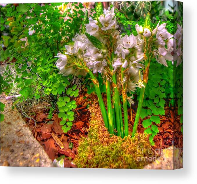 Hdr - Flower Canvas Print featuring the photograph HDR - Flower #3 by Dem Wolfe