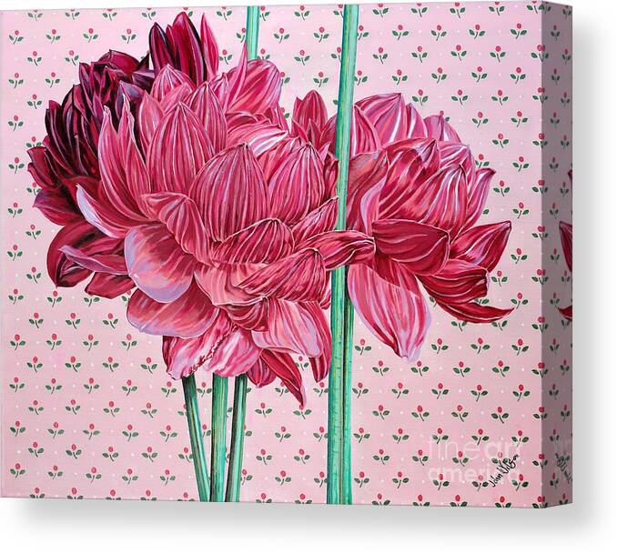 Large Sized Close Up Look At Pink Dalias. Pink Flowers Canvas Print featuring the painting JAN by John Wilson
