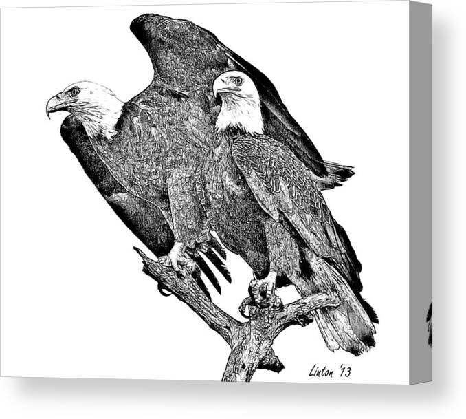 American Bald Eagle Canvas Print featuring the digital art Bald Eagle Pair #4 by Larry Linton