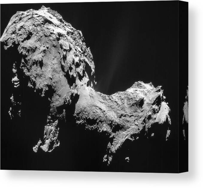 Comet Canvas Print featuring the photograph Comet 67pchuryumov-gerasimenko #4 by Science Source