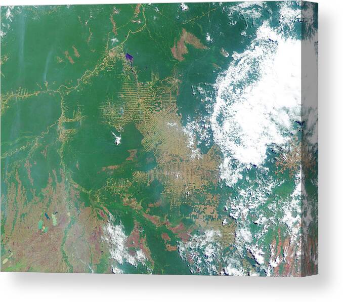 Forest Canvas Print featuring the photograph Deforestation In The Amazon #4 by Nasa Earth Observatory