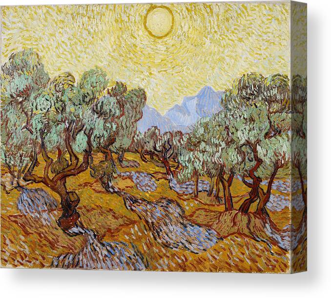 Vincent Van Gogh Canvas Print featuring the painting Olive Trees #4 by Vincent Van Gogh