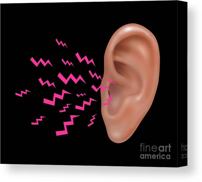 Illustration Canvas Print featuring the photograph Sound Entering Human Outer Ear by Gwen Shockey