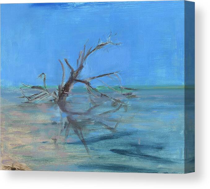 Florida Canvas Print featuring the painting Untitled #529 by Chris N Rohrbach