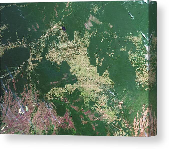 Forest Canvas Print featuring the photograph Deforestation In The Amazon #5 by Nasa Earth Observatory