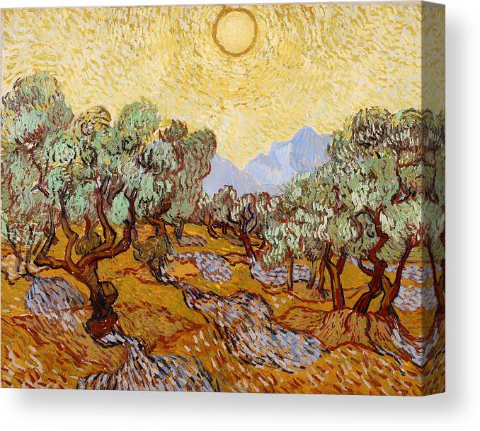 Painting Canvas Print featuring the painting Olive Trees #6 by Mountain Dreams