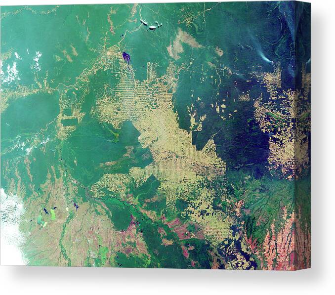 Forest Canvas Print featuring the photograph Deforestation In The Amazon #8 by Nasa Earth Observatory