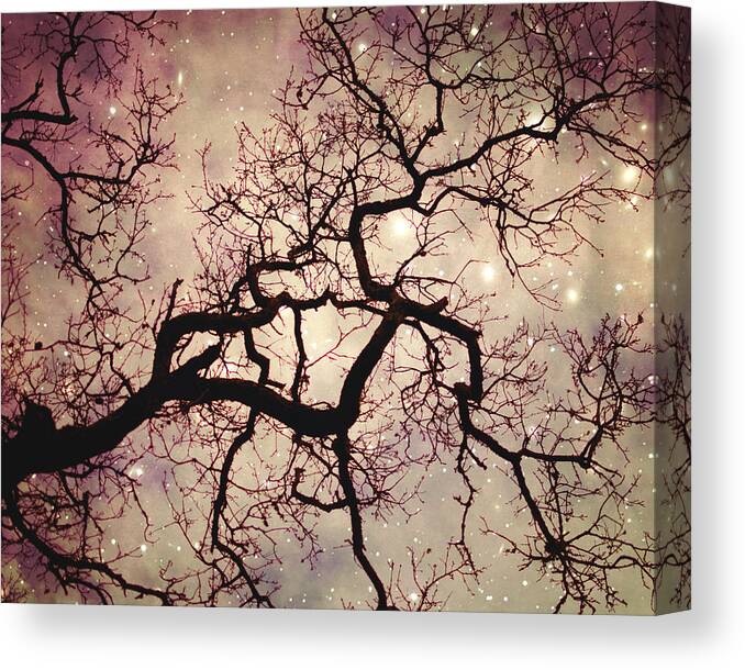 Tree Canvas Print featuring the photograph A kind of magic by Lupen Grainne