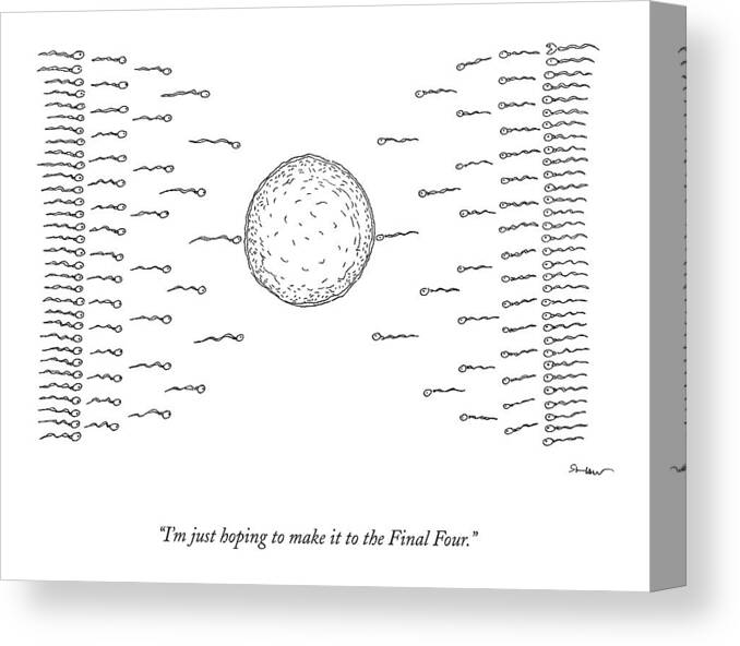 March Madness Canvas Print featuring the drawing A Number Of Sperms Approach An Egg In The Shape by Michael Shaw