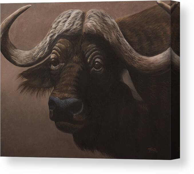 African Buffalo Canvas Print featuring the painting African Buffalo by Tammy Taylor