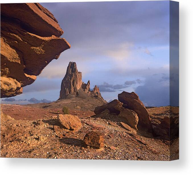 Feb0514 Canvas Print featuring the photograph Agathla Peak Monument Valley Arizona by Tim Fitzharris