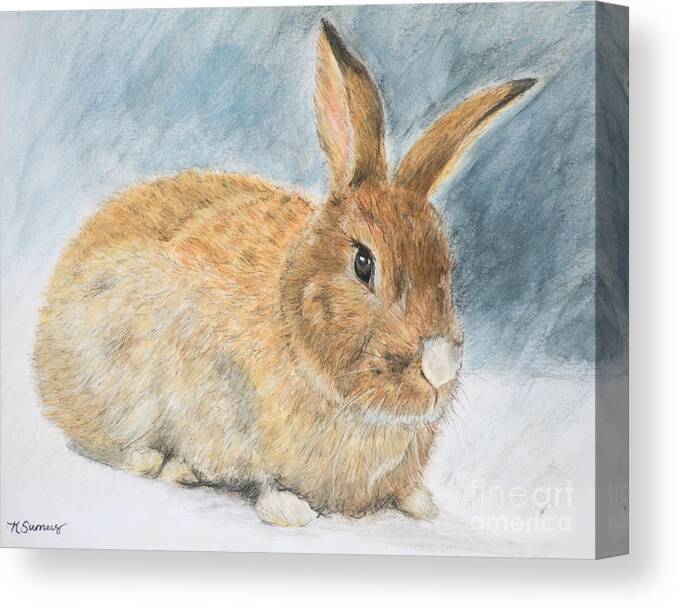 Rabbit Canvas Print featuring the painting Agouti Pet Rabbit by Kate Sumners