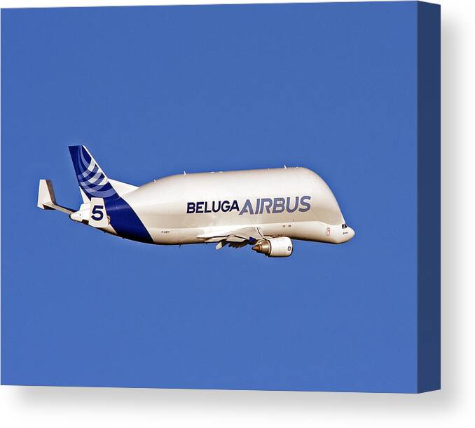 Airbusbeluga Canvas Print featuring the photograph Airbus Beluga by Paul Scoullar