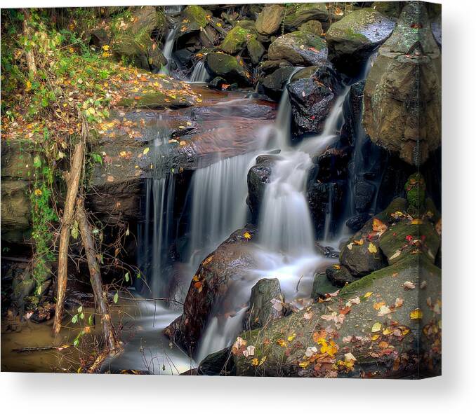 Waterfall Canvas Print featuring the photograph Amicalola Waterfall by Anna Rumiantseva