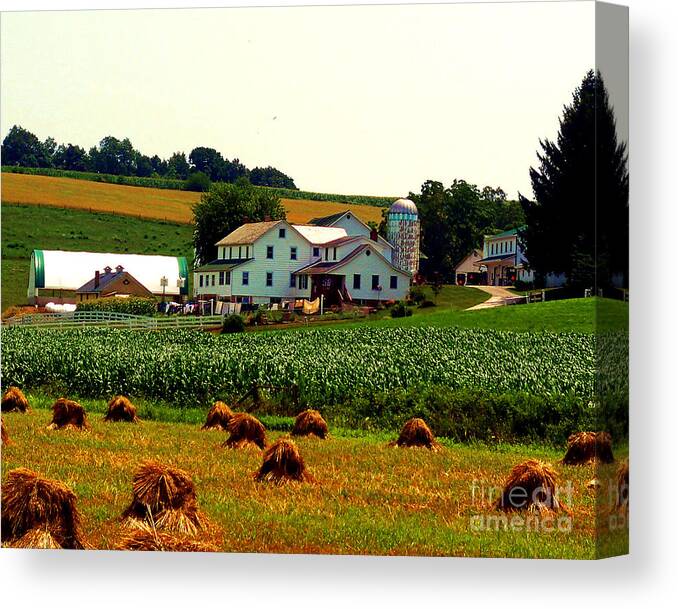 Amish Farm Canvas Print featuring the photograph Amish Farm on Laundry Day by Desiree Paquette