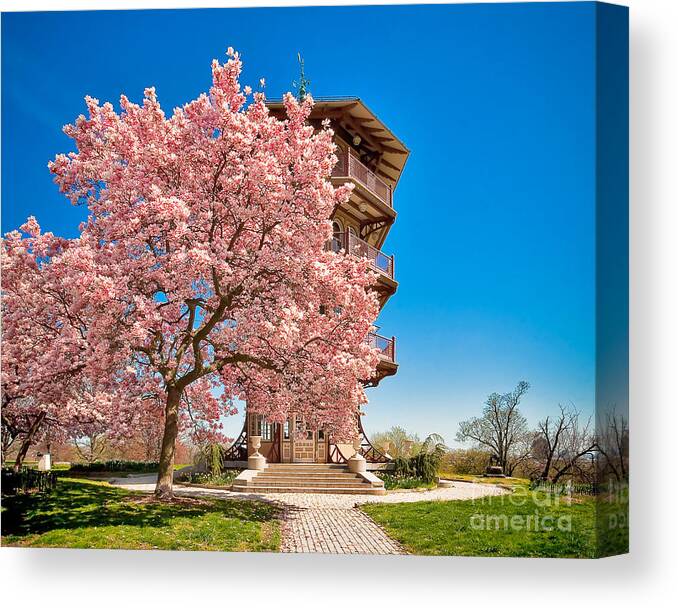 Patterson Park Pagoda Canvas Print featuring the photograph An Afternoon At Patterson Park by SCB Captures