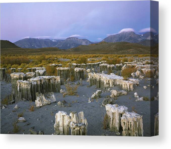 Tufa Canvas Print featuring the photograph An Ancient Watermark by Paul Breitkreuz