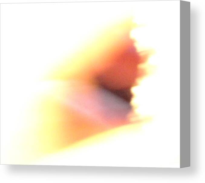 Angel Canvas Print featuring the photograph Angel Wing by Mike Breau