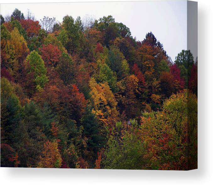 Landscape Canvas Print featuring the photograph Appalachian mountain fall by Flees Photos