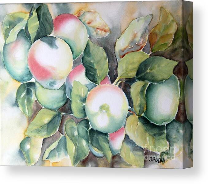 Apple Canvas Print featuring the painting Apples, light, leaves by Inese Poga