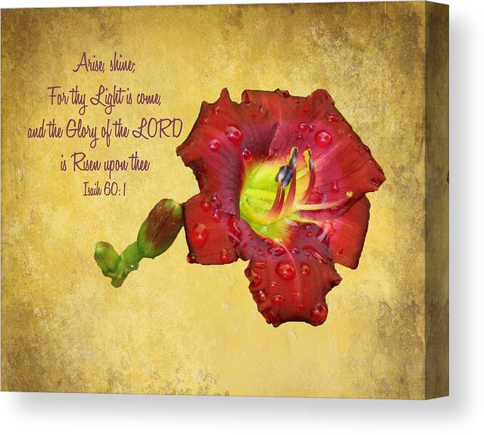 Flower Canvas Print featuring the photograph Arise Shine by Bill Barber