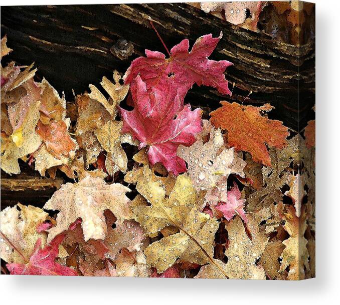 Landscape Canvas Print featuring the photograph Arizona Fall Colors by Matalyn Gardner