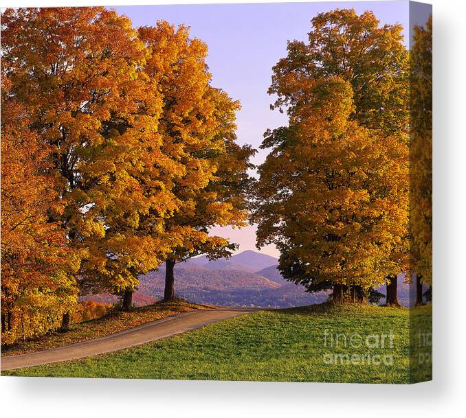 Autumn Canvas Print featuring the photograph Autumn Backroad View by Alan L Graham