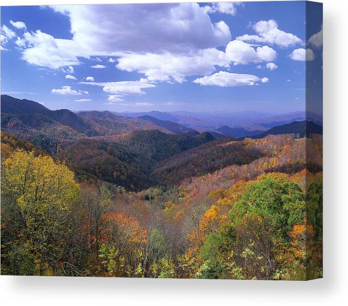 00175780 Canvas Print featuring the photograph Autumn From Thunderstruck Ridge by Tim Fitzharris
