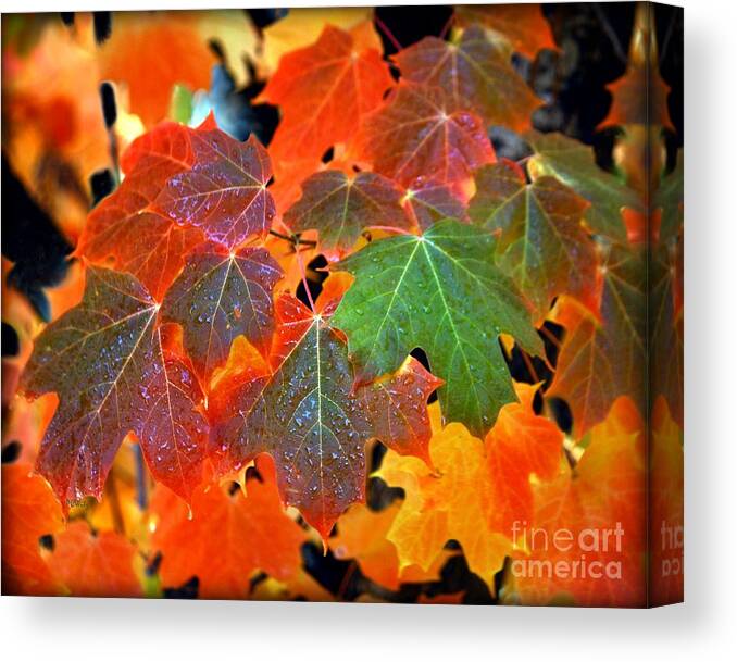 Autumn Leaf Progression Canvas Print featuring the photograph Autumn Leaf Progression by Patrick Witz