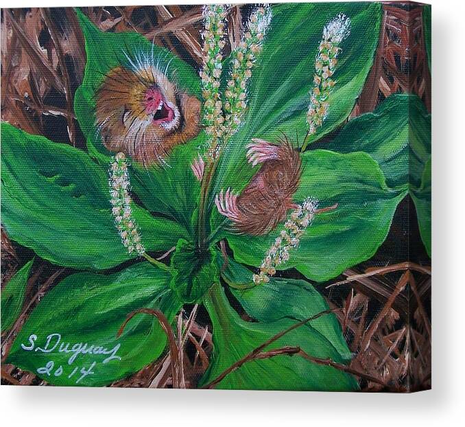  Kooky Canvas Print featuring the painting Baby  Molly by Sharon Duguay