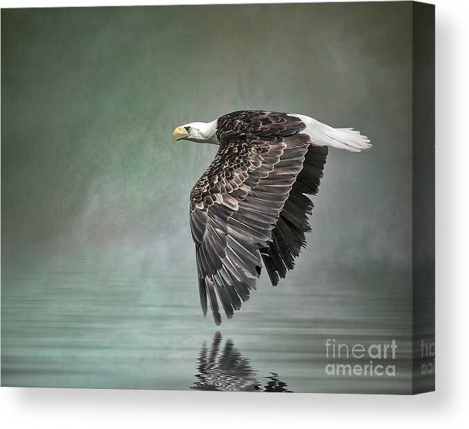 Bald Eagle Canvas Print featuring the photograph Bald Eagle in mist by Brian Tarr