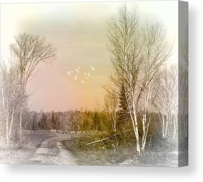 Evie Canvas Print featuring the photograph Barbeau Michigan by Evie Carrier