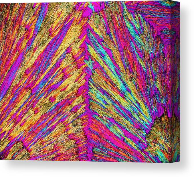 Crystals Canvas Print featuring the photograph Beauty Of The Beast by Hodges Jeffery