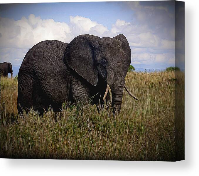 Elephant Canvas Print featuring the photograph Big One by Roni Chastain