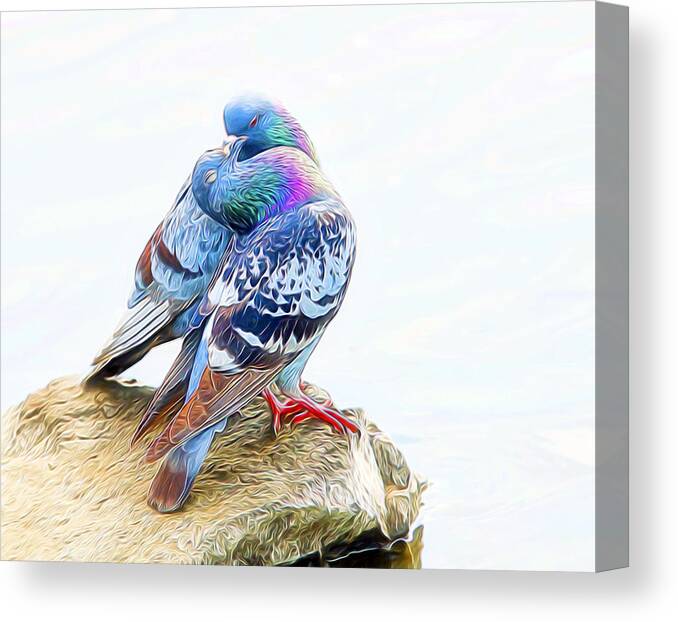 Nature Canvas Print featuring the digital art Billing and Cooing by William Horden